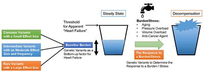 The Evolving Story in the Genetic Analysis for Heart Failure